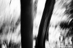 P3041409