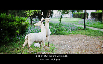 早上好，涿克萨斯