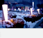 雪光 / Little road lamps