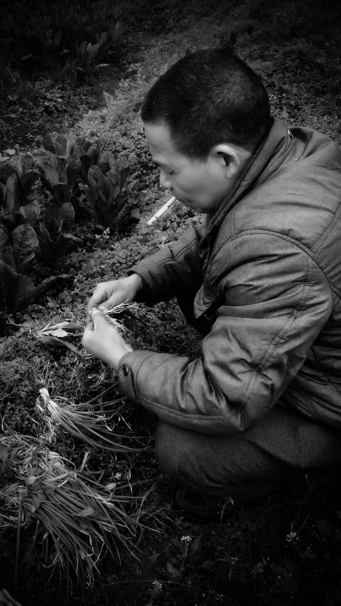 平凡的世界 (手机sony 29I) - 手机, 黑白, 人文 -