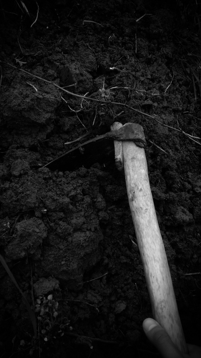 平凡的世界 (手机sony 29I) - 手机, 黑白, 人文 -