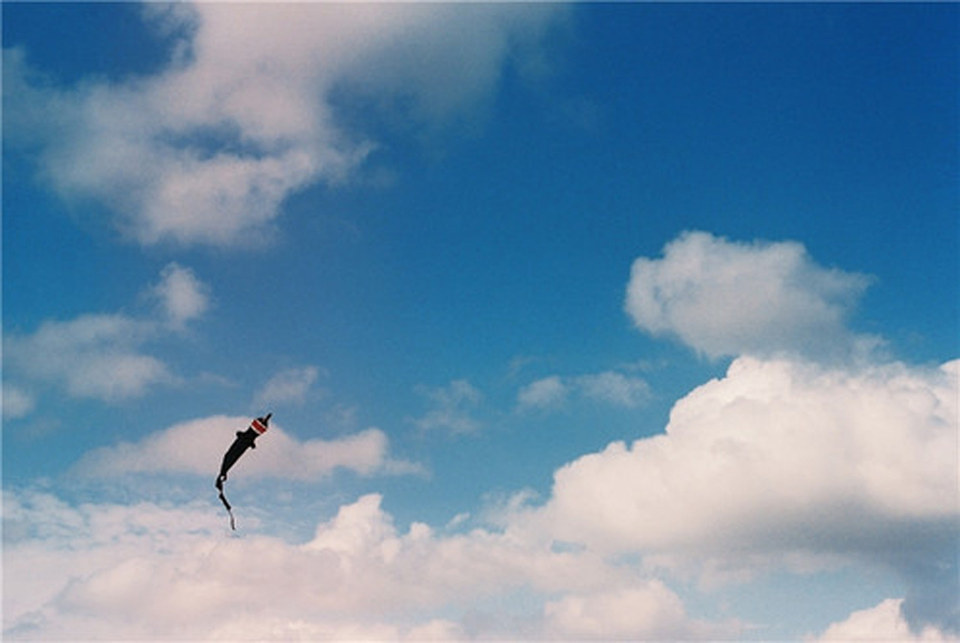 天上风筝在天上飞呀飞是什么歌曲