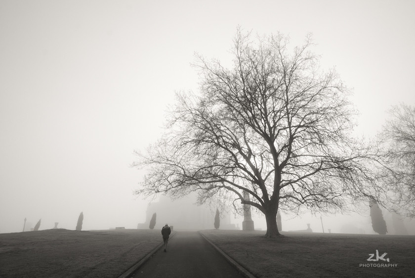 迷雾 - 墨尔本, 大雾, melbourne, Fog - psveind
