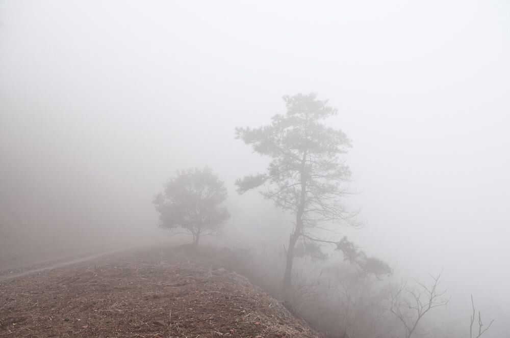 雾高清