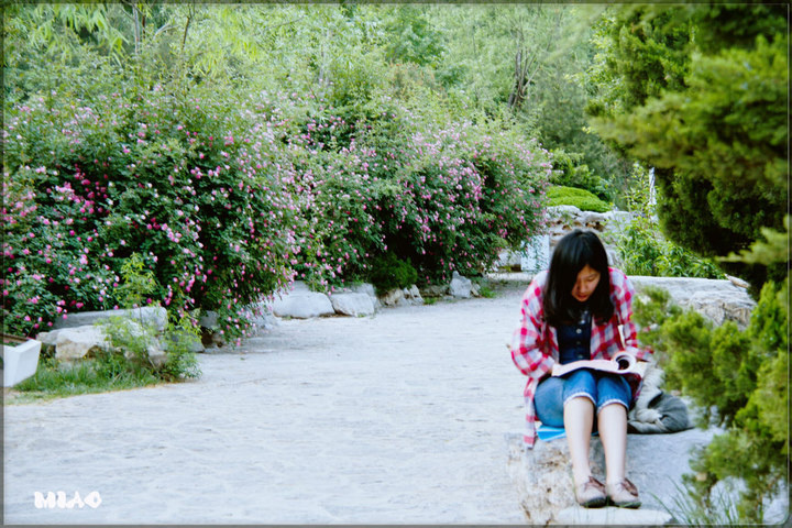 记录校园的四季景色