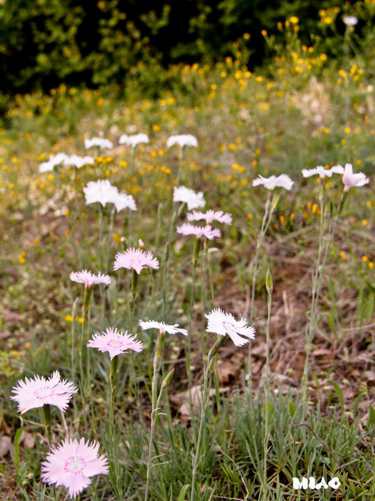 记录校园的四季景色 - 学校, 摄影, 风景, 景物, 校