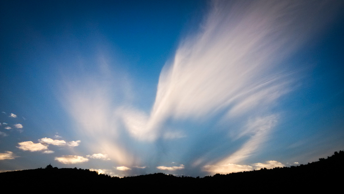 蛰伏,涅盘 - 小米手机摄影大赛, 色彩, 小米 - Co