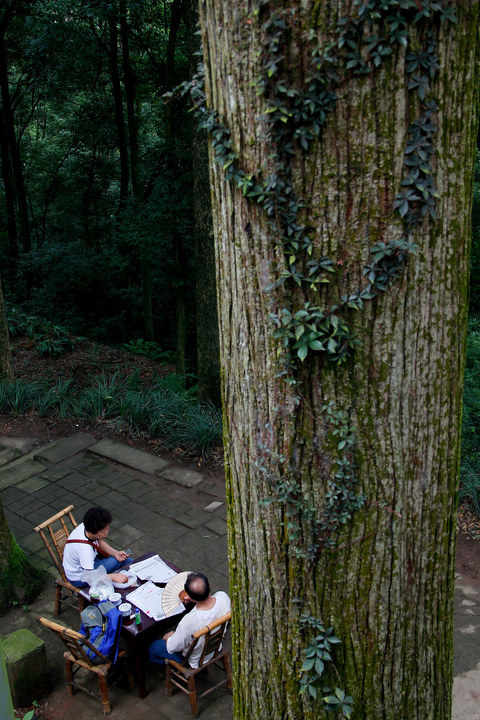 问道青城山 - xufufu