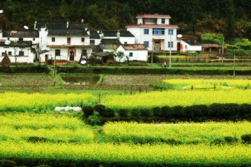 梦回婺源