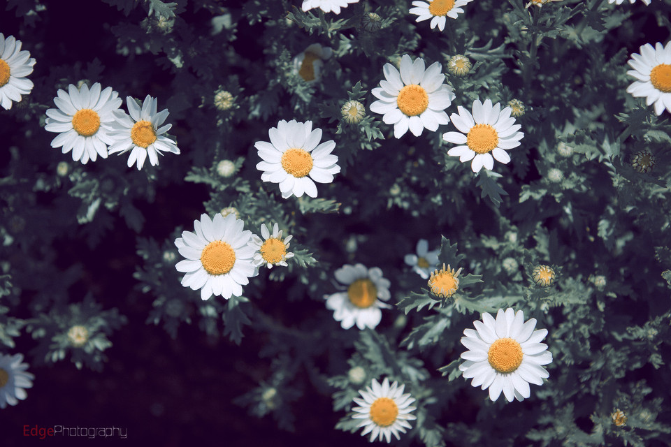 Admit it, accept it and then change it - Little thin