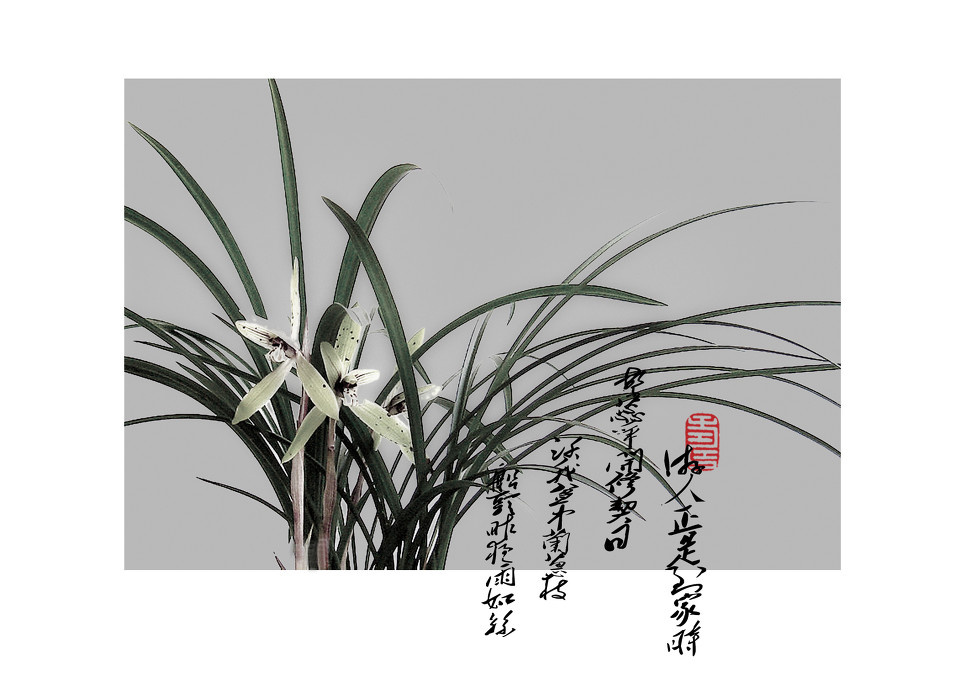 兰花画图片大全大图图片大全_兰花画图片大全大图图片下载