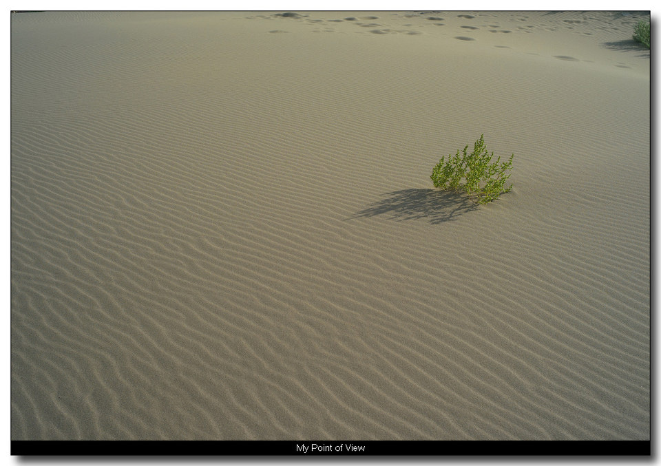 迅捷微风部落金币