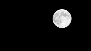 Mr Moon