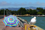 Berkeley Marina
