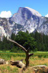 Yosemite