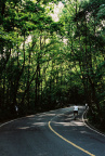 龙井路