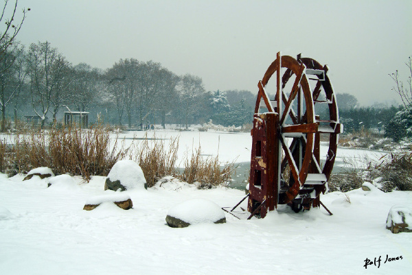 大雪