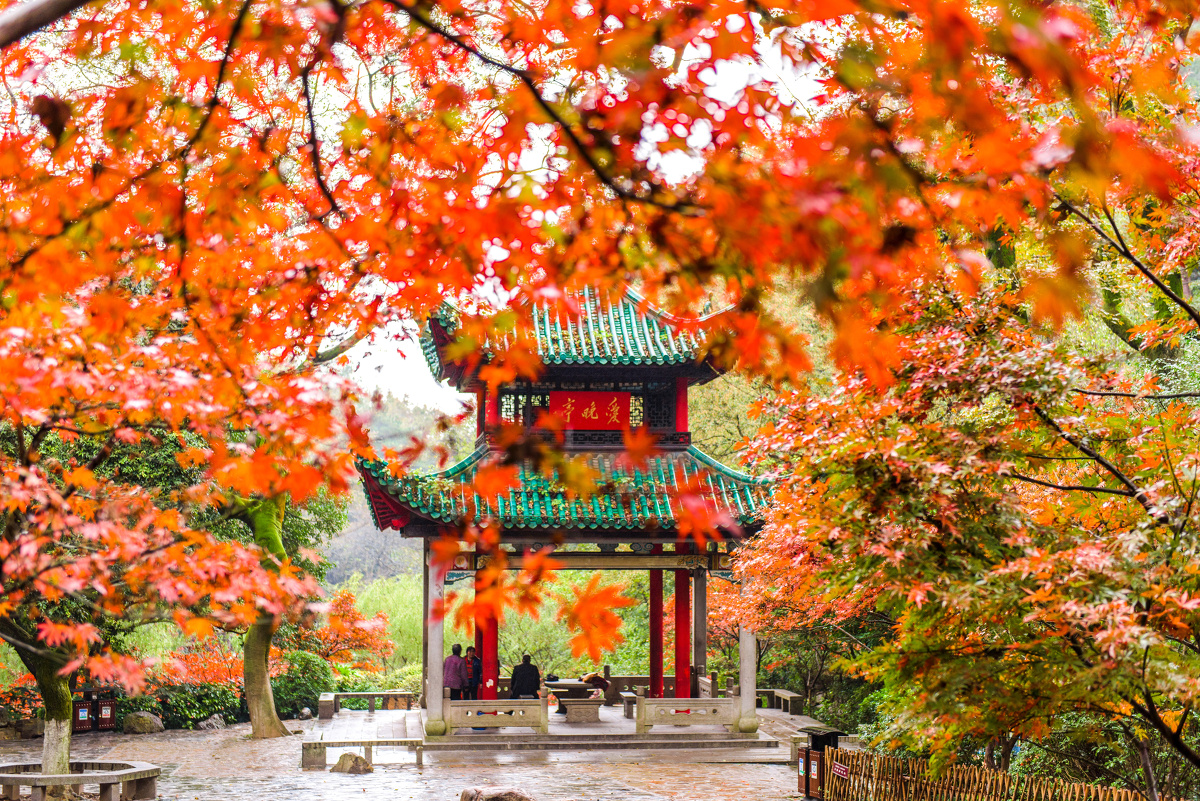 岳麓山 - 风光, 尼康, 长沙 - 天震威