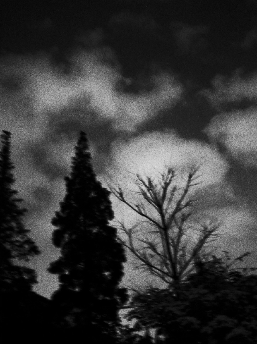 死而复生的词语 - 黑白 - 阿习