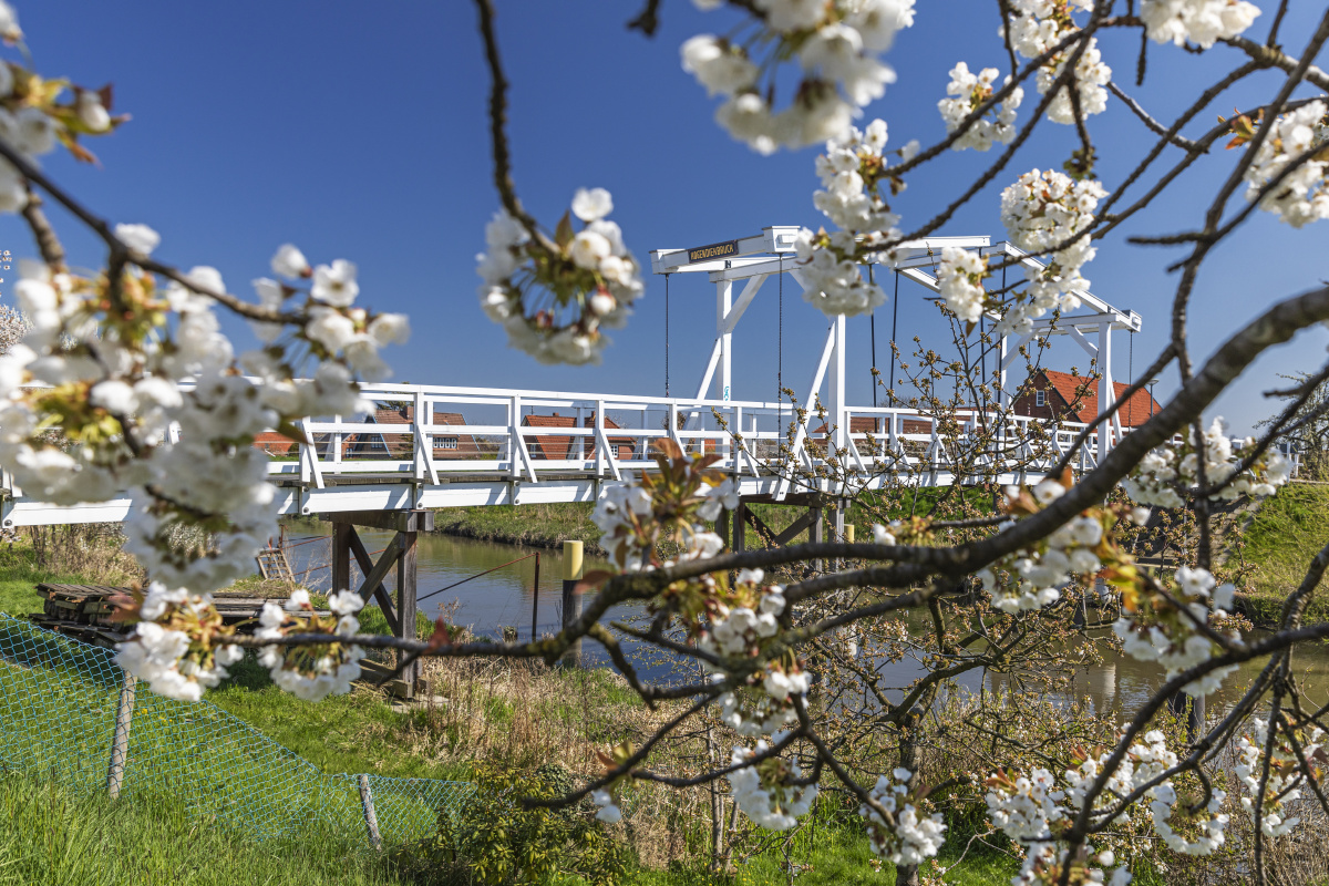 醒觉 - 人像, 美女, 小清新, 尼康, 北京 - Sailor19