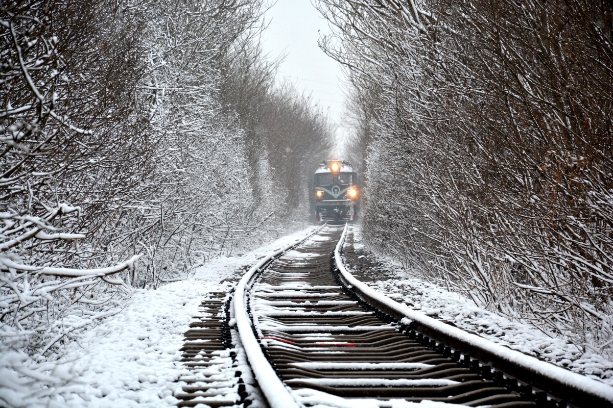 冬日的爱情隧道 - 风光, 自然, 南京 - 恣磨