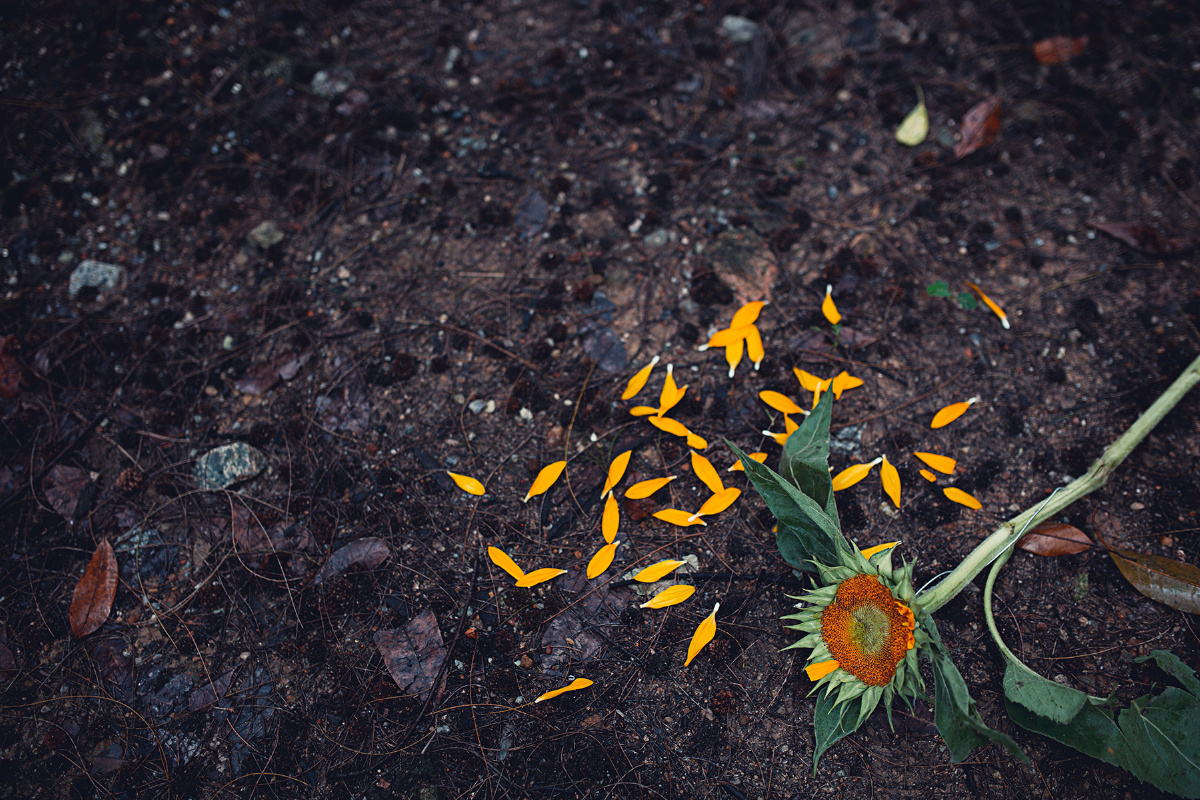 【墙上的向日葵】李志集 - 人像, 35mm, 情绪, 
