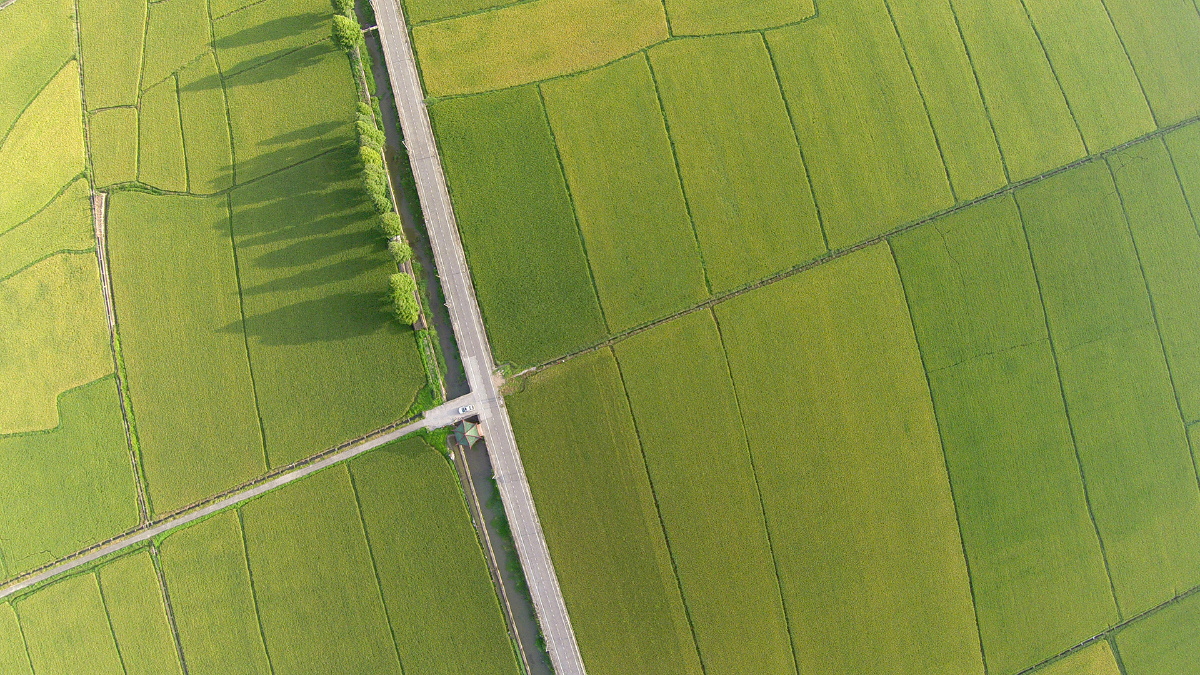 简单线条 - 中山市, 南朗镇, 崖口村 - EricLiu - 图虫摄影网