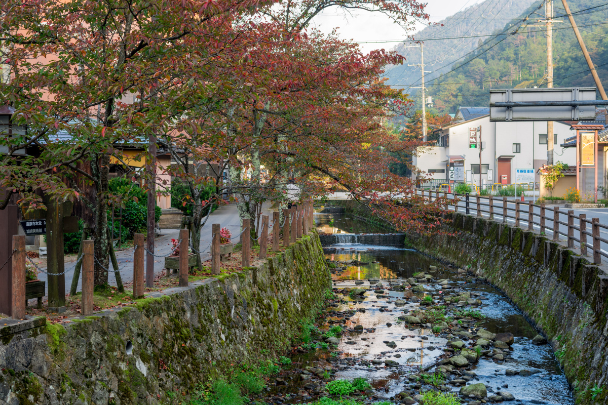 城崎温泉 - 旅行, 尼康, 日系 - windforest1230