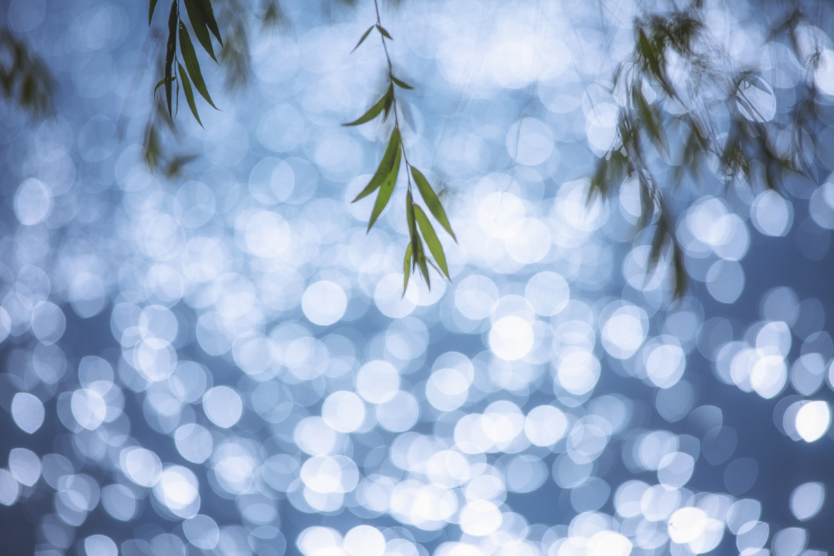 光斑- christopher - 图虫摄影网