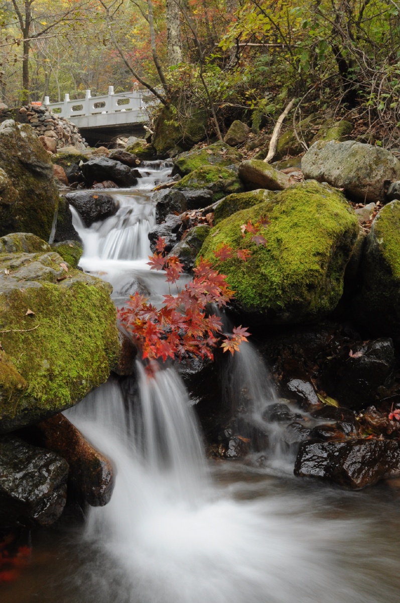 绿石谷隶属辽宁本溪汤沟国家森林公园,因谷中石上苔藓碧绿,大小瀑布