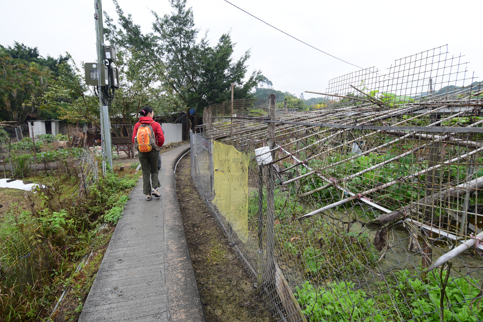 dsc_0042 东阁围村路过布吉仔