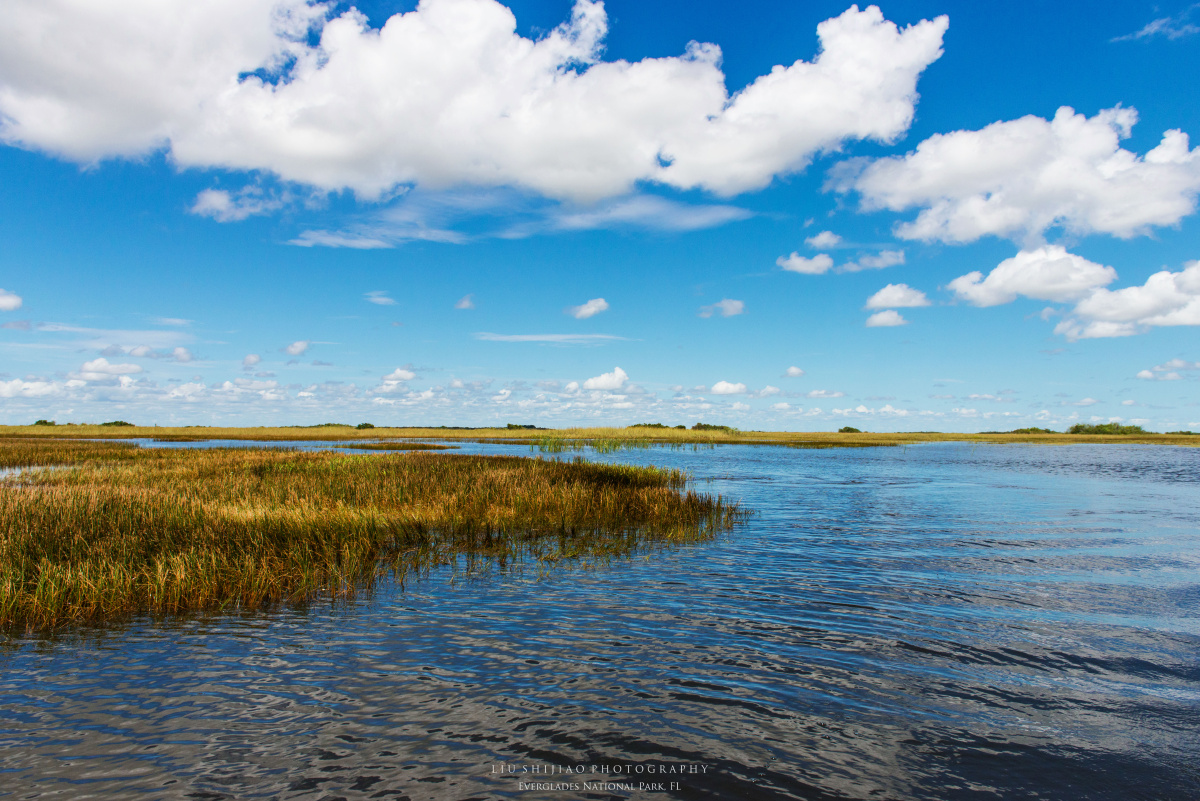 everglades np 大沼泽地国家公园