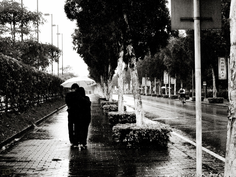 雨中的情侣
