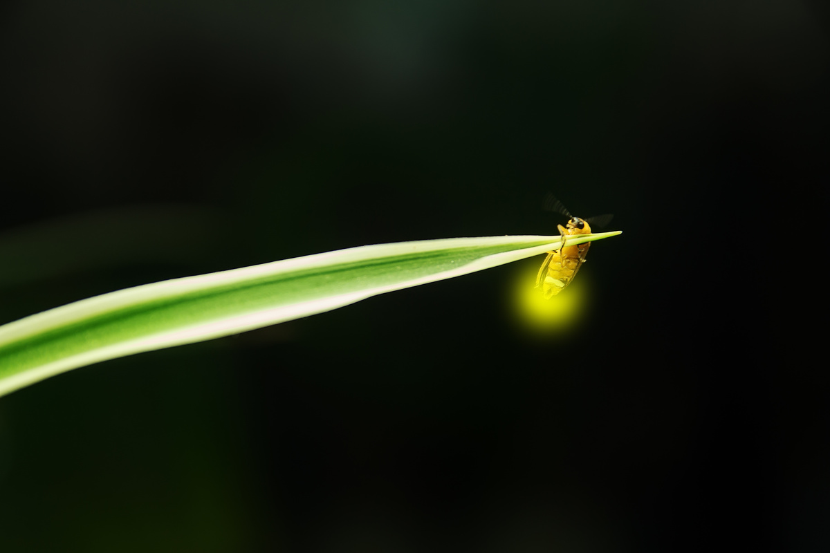 航程新起点 - 图虫摄影网
