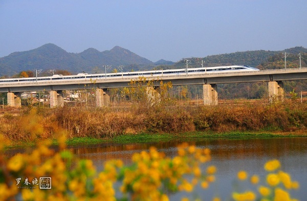 春晓铁道视界郑武高铁巡礼