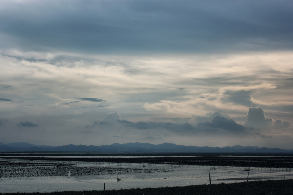默默飘过