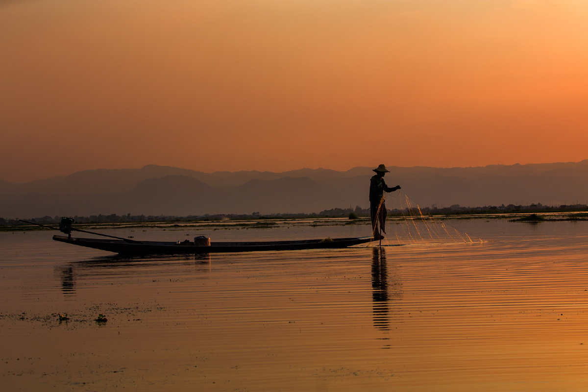 雾里独自徘徊 - 图虫摄影网