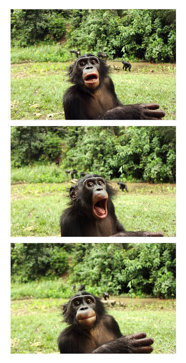 脸谱系列iifunnyface