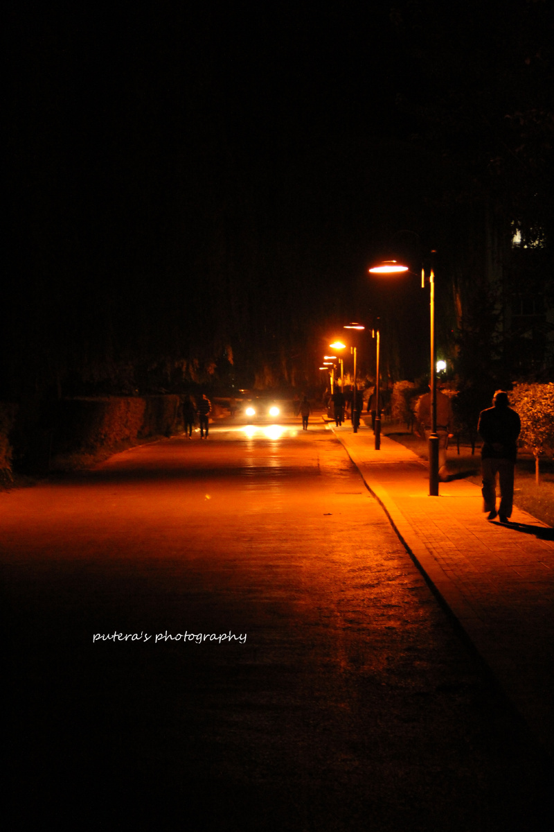 夜的宁静总能让人无限遐想