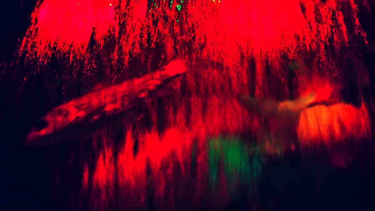 从日本流浪到南美#镜头中的2015# - 人文, 旅行