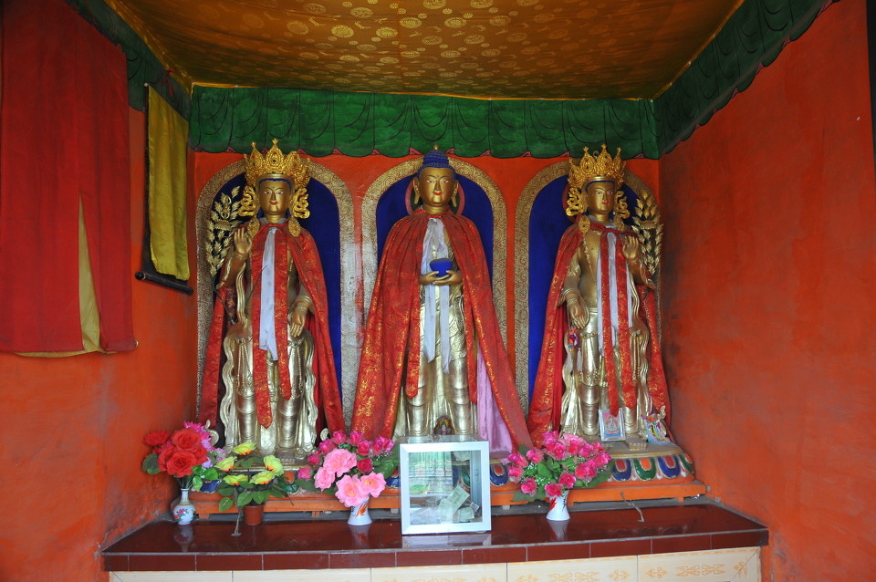 做最专业的摄影社区