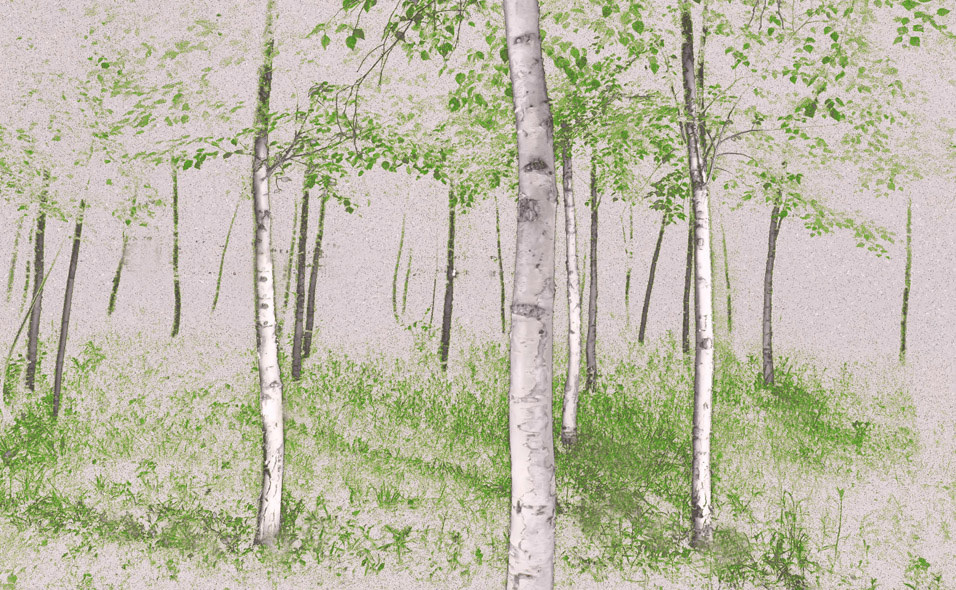 一片小树林夜晚,光绘小树林,后期再ps.