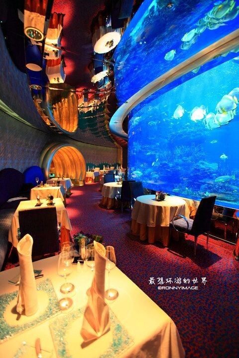 这里是迪拜帆船酒店的水底餐厅