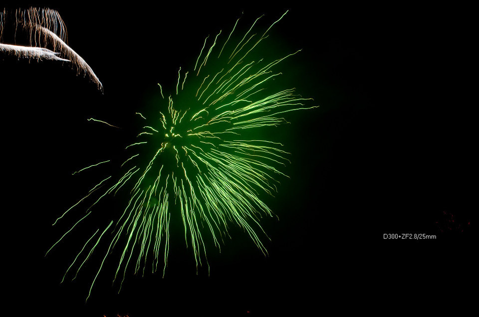 蝴蝶- 除夕, 烟花 - 火 - suofan - 图虫摄影网