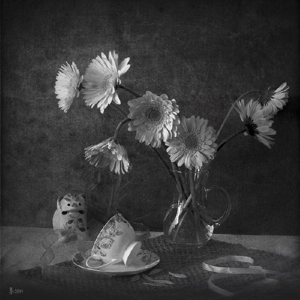 黑白静物
