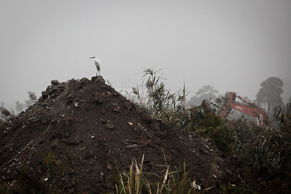 即将消失的风景