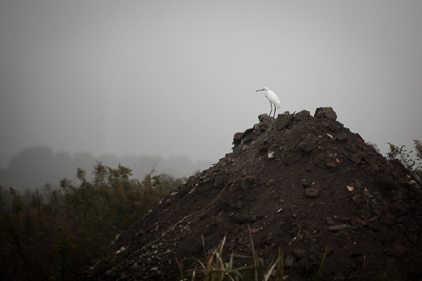 即将消失的风景
