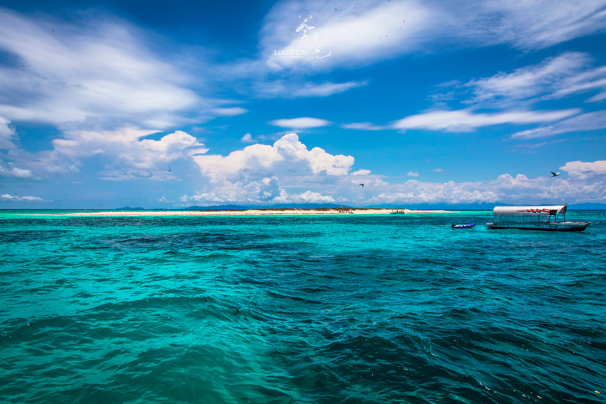 the great barrier reef