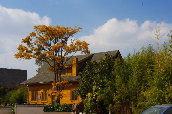 袁晓岑艺术园 - 煌煌终日 - 图虫