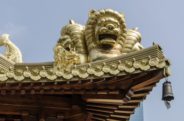 桑拿天里雨后路边的野草上